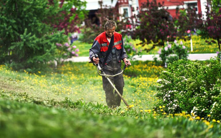 entretien jardin